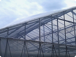 2重構造になったトマトハウスの屋根