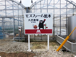 モスファーム熊本、八代農場の看板